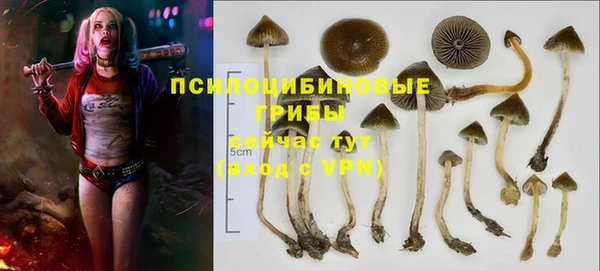 кокаин премиум Алексеевка