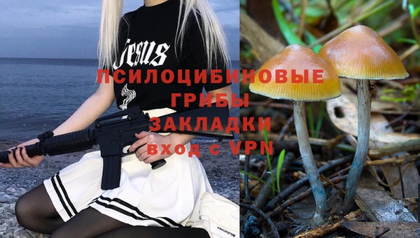 тгк Сатка