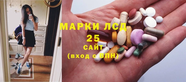 дмт Алзамай