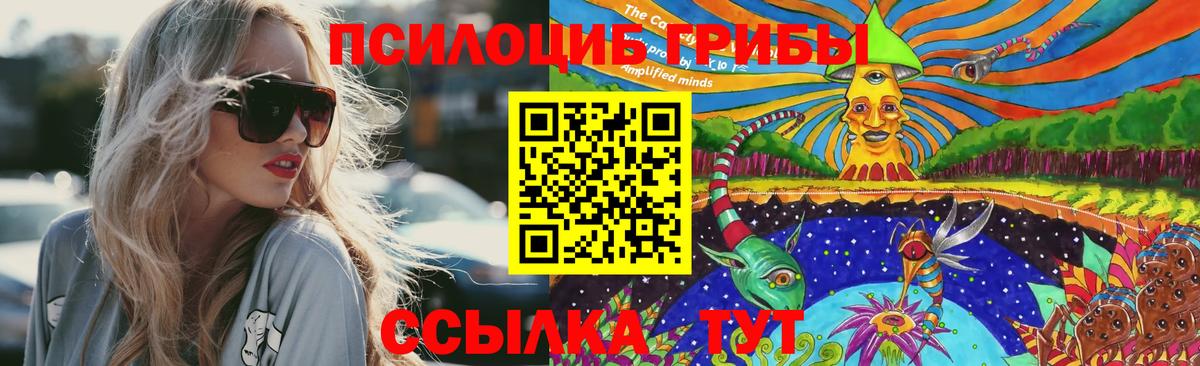Осинники  Псилоцибиновые грибы MAGIC MUSHROOMS  Псилоцибиновые грибы мухоморы  Вход с VPN 